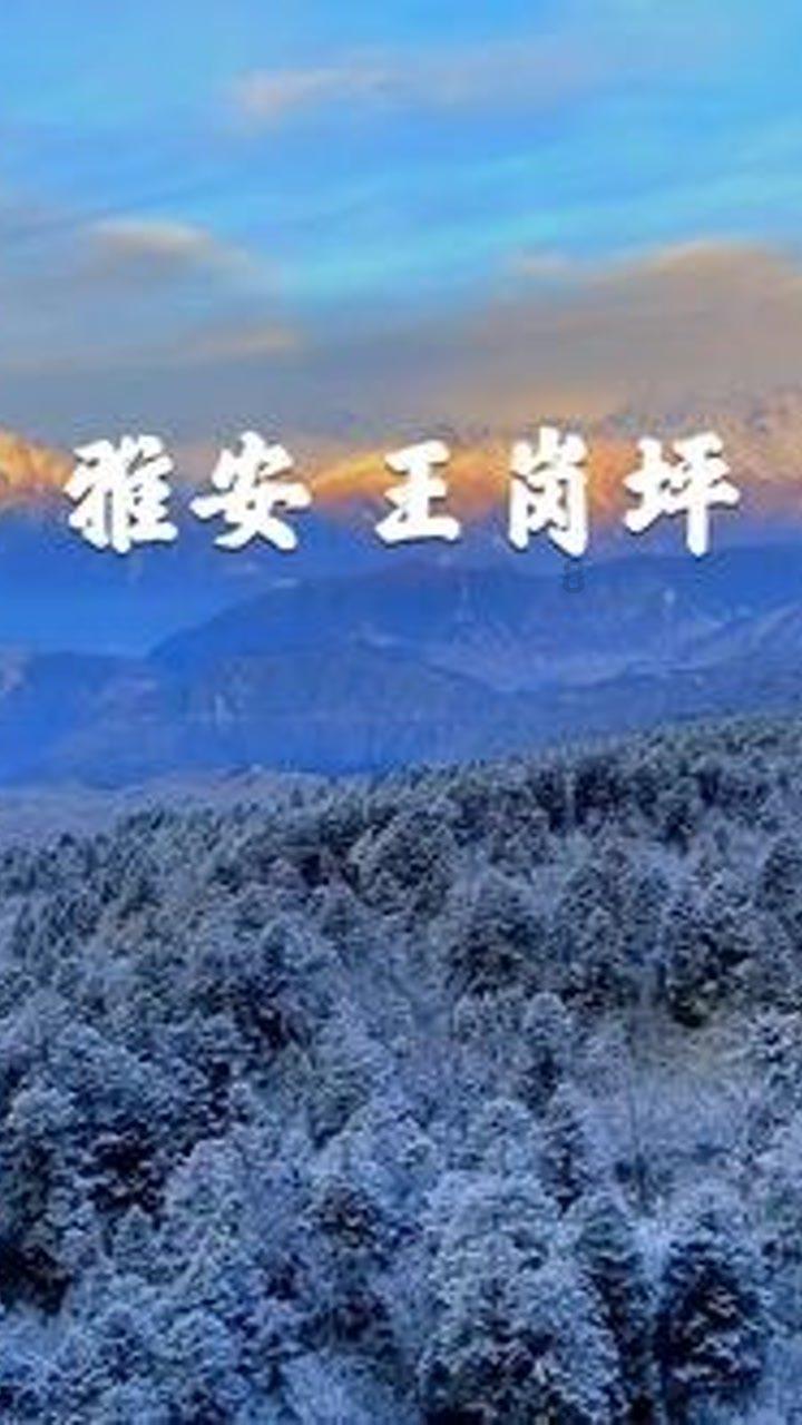 广西现代物流集团积极推动“南果北运 北粮南运”