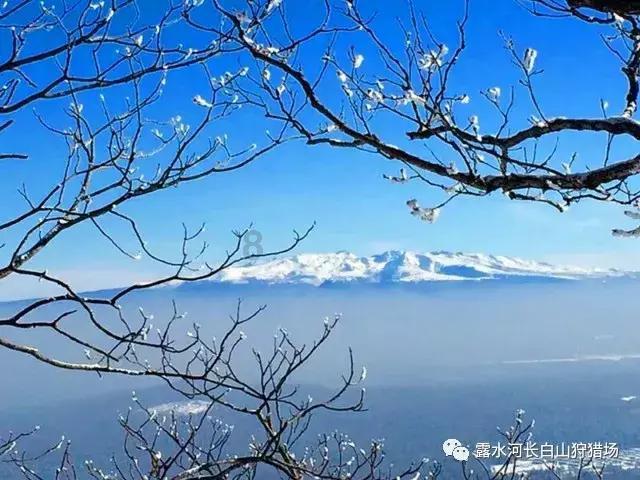 升空的愤怒奶奶