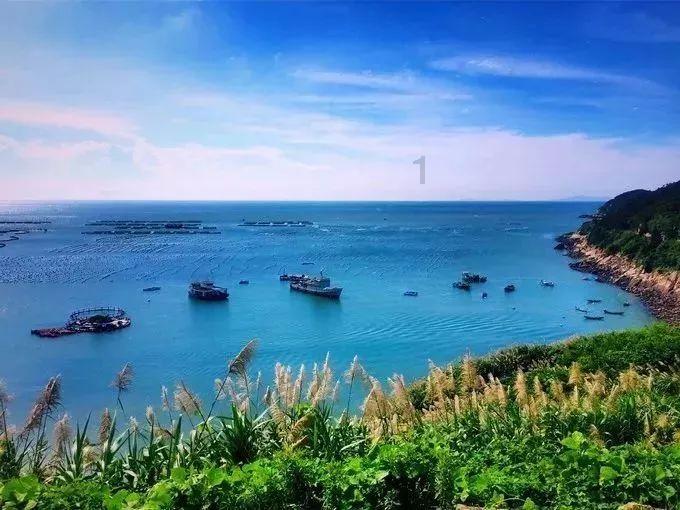 决战平安京