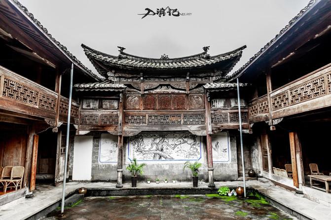 饥饿的松鼠救援